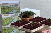 星盘查询高速赋能产业升级：一条“杨梅路”的致富密码